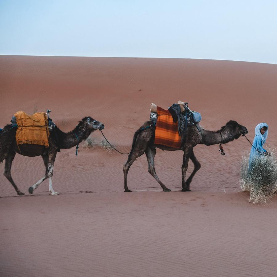 Bed and Breakfast Camel Luxury Camp Merzouga Exteriér fotografie